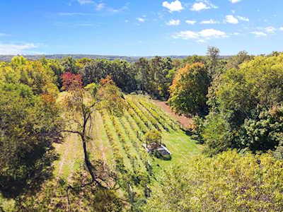 14623 32nd Street S Afton, MN 55001