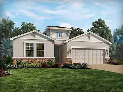 7214 Heron Walk Lane Ln Wesley Chapel, FL 33545