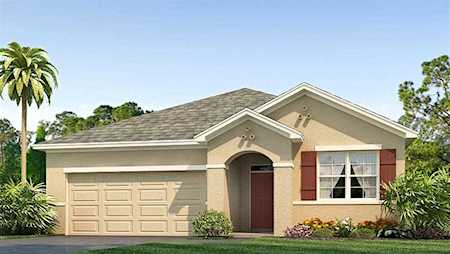 34211 Sorrel Mint Dr Wesley Chapel, FL 33543