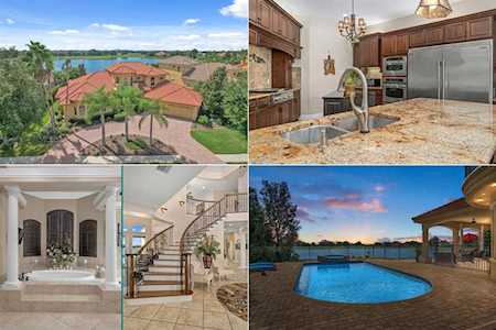 10526 Sabella Dr Trinity, FL 34655