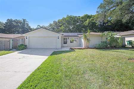 2195 Glen Dr Safety Harbor, FL 34695