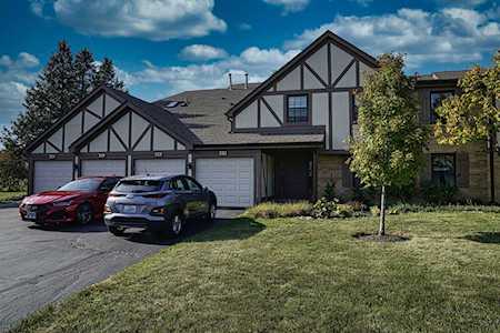 725 Elizabeth Dr #24-D-L Wood Dale, IL 60191