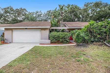 243 Arbor Dr E Palm Harbor, FL 34683