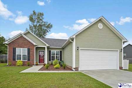 3032 Red Berry Circle Effingham, SC 29541