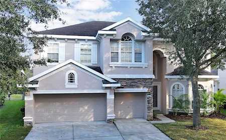 17803 Arbor Creek Dr Tampa, FL 33647