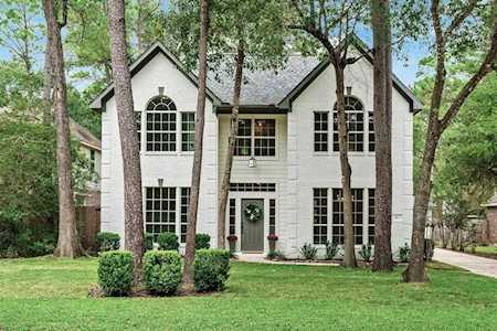 17 Beckett Hill Place The Woodlands, TX 77382