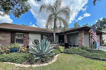 3133 Lake Valencia Ln E Palm Harbor, FL 34684