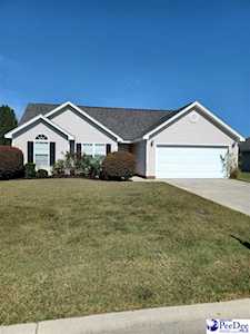 2920 Pavingstone Court Effingham, SC 29541