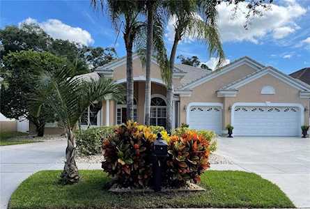 1264 Espina Ct Dunedin, FL 34698