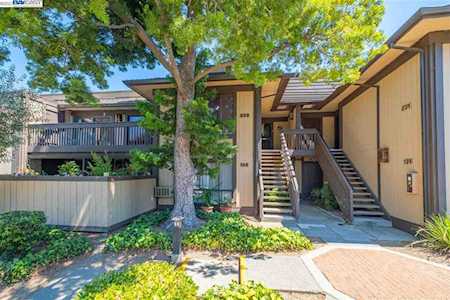 39090 Presidio Way #232 Fremont, CA 94538
