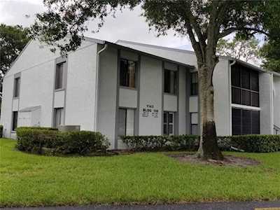 1143 Pine Ridge CIRCLE W #C2 Tarpon Springs, FL 34688