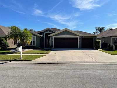10555 San Travaso Dr Tampa, FL 33647