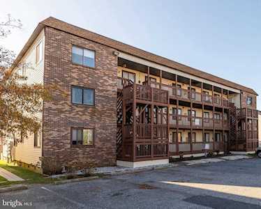 14401 Tunnel Ave #371 Ocean City, MD 21842