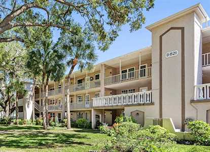 821 Patricia Ave #204 Dunedin, FL 34698