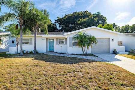 310 Scott Ct Palm Harbor, FL 34684
