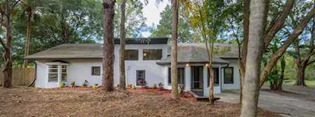 10115 Deer Ln New Port Richey, FL 34654