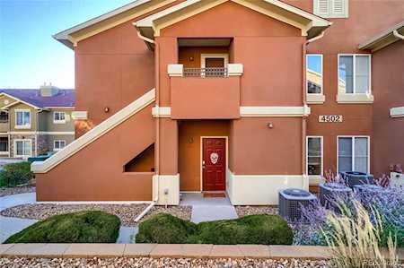 4502 Copeland Loop #204 Highlands Ranch, CO 80126