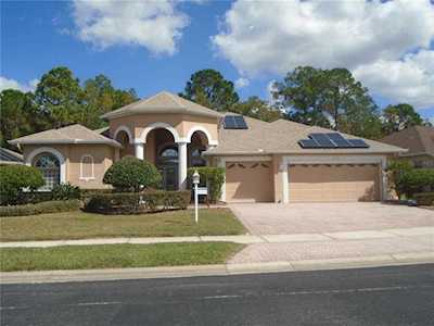 11335 Wedgemere Dr Trinity, FL 34655