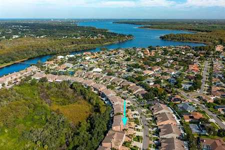 1692 Arabian Ln Palm Harbor, FL 34685