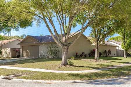 2771 Monica Ln Palm Harbor, FL 34684