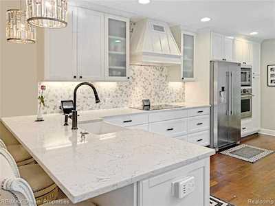 39436 Village Run Dr Northville Twp, MI 48168