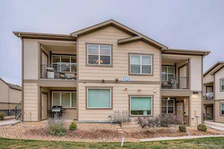 4526 Copeland Circle #202 Highlands Ranch, CO 80126