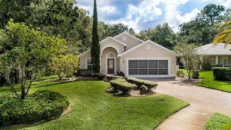 11510 Sinatra Ct New Port Richey, FL 34654