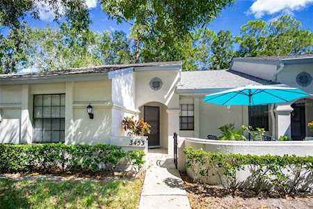 3453 Killdeer PLACE Palm Harbor, FL 34685