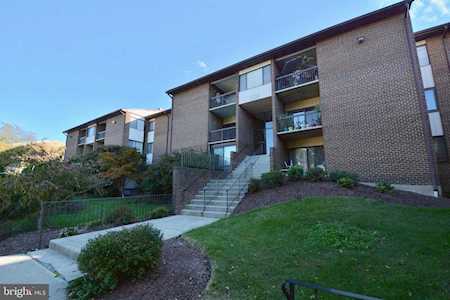 11216 Cherry Hill Rd #215 Beltsville, MD 20705