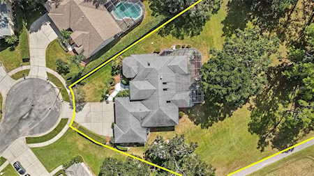 3000 Bolt Dr Palm Harbor, FL 34685