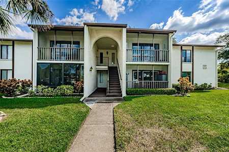 2568 Pine Ridge WAY S #D2 Palm Harbor, FL 34684