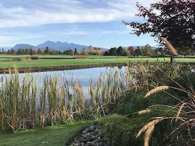 19677 Meadow Gardens Way #310 Pitt Meadows, BC V3Y 0A2