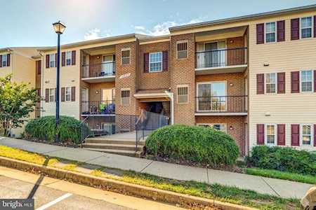 14805 Rydell Rd #302 Centreville, VA 20121