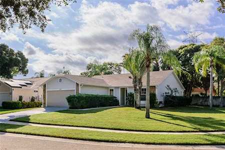 2780 Wesleyan Dr Palm Harbor, FL 34684
