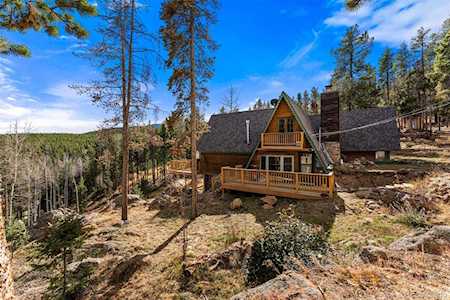46 Creek Trl Evergreen, CO 80439