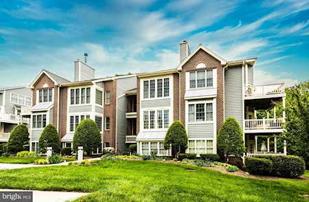 2709 Summerview Way #8204 Annapolis, MD 21401