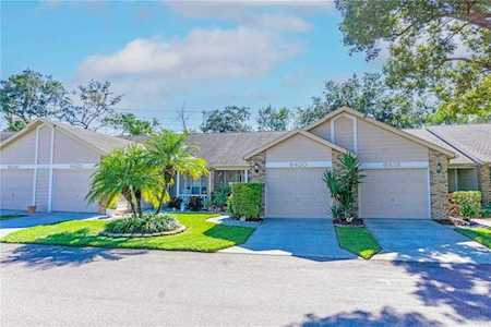 6420 Cabbage Ln New Port Richey, FL 34653