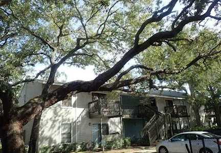 2350 Cypress Pond Rd #2012 Palm Harbor, FL 34683