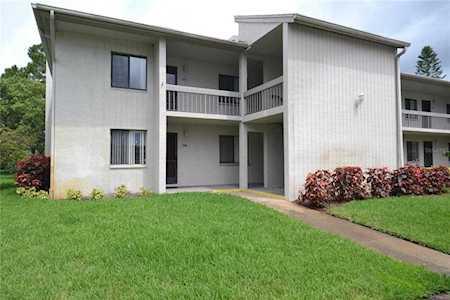 131 Nancy Dr #2 Oldsmar, FL 34677
