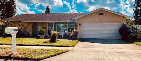 2040 Kingfisher Dr Palm Harbor, FL 34683
