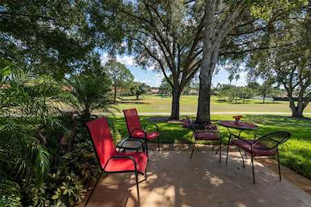 1060 Dunrobin Dr #D Palm Harbor, FL 34684