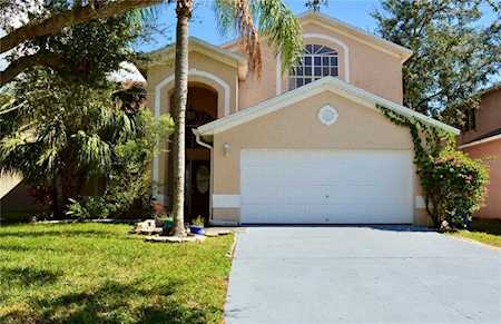 1635 Gray Bark Dr Oldsmar, FL 34677