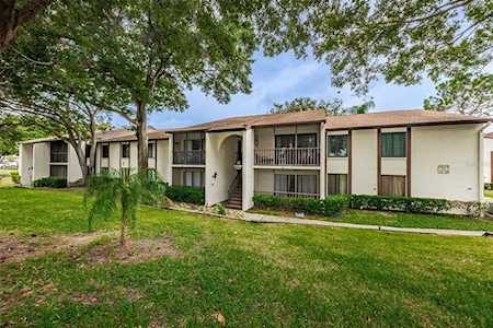 2575 Pine Ridge WAY S #H1 Palm Harbor, FL 34684