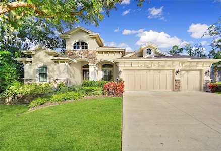 2465 Navarez Ave Safety Harbor, FL 34695