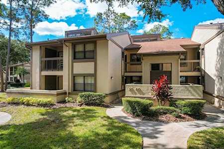 40 Woodlake PLACE #1 Oldsmar, FL 34677