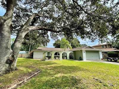 1871 Forest Wood Dr Clearwater, FL 33759