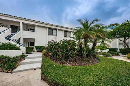3559 Indigo Pond Dr #9 Palm Harbor, FL 34685