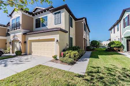 11624 Crowned Sparrow Ln Tampa, FL 33626
