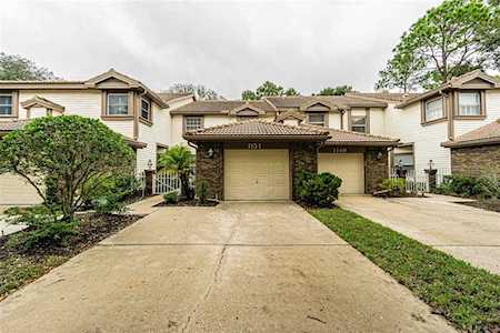 1151 Clays Trl #703 Oldsmar, FL 34677