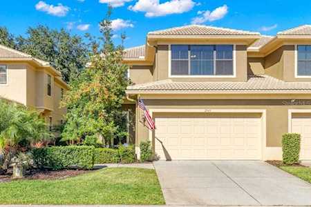 2545 Silverback Ct Palm Harbor, FL 34684